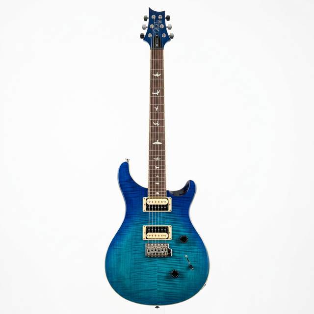 PRS SE Custom 24